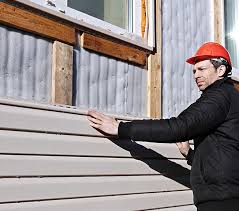 Historical Building Siding Restoration in Sutton Alpine, AK